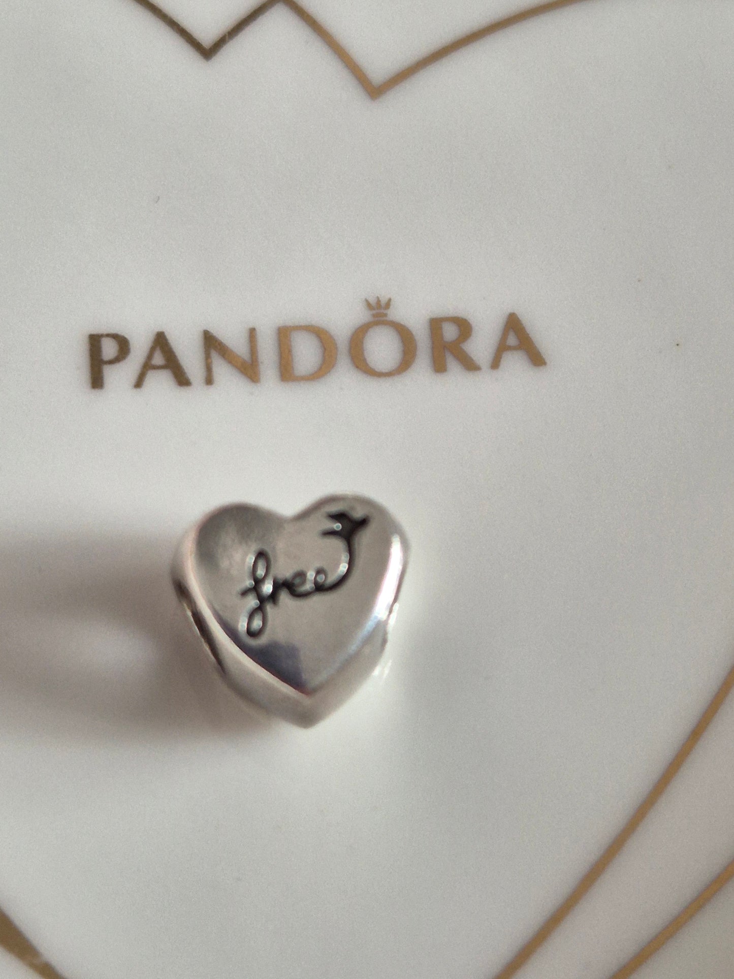 Pandora sometimes you got to fall before you fly charm