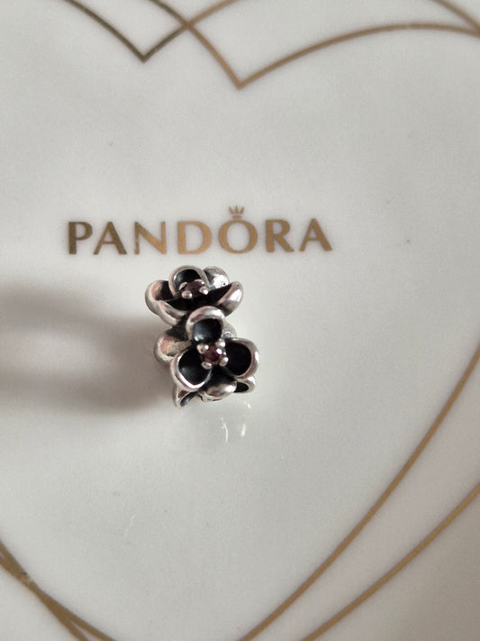 Pandora Wanda's spacer